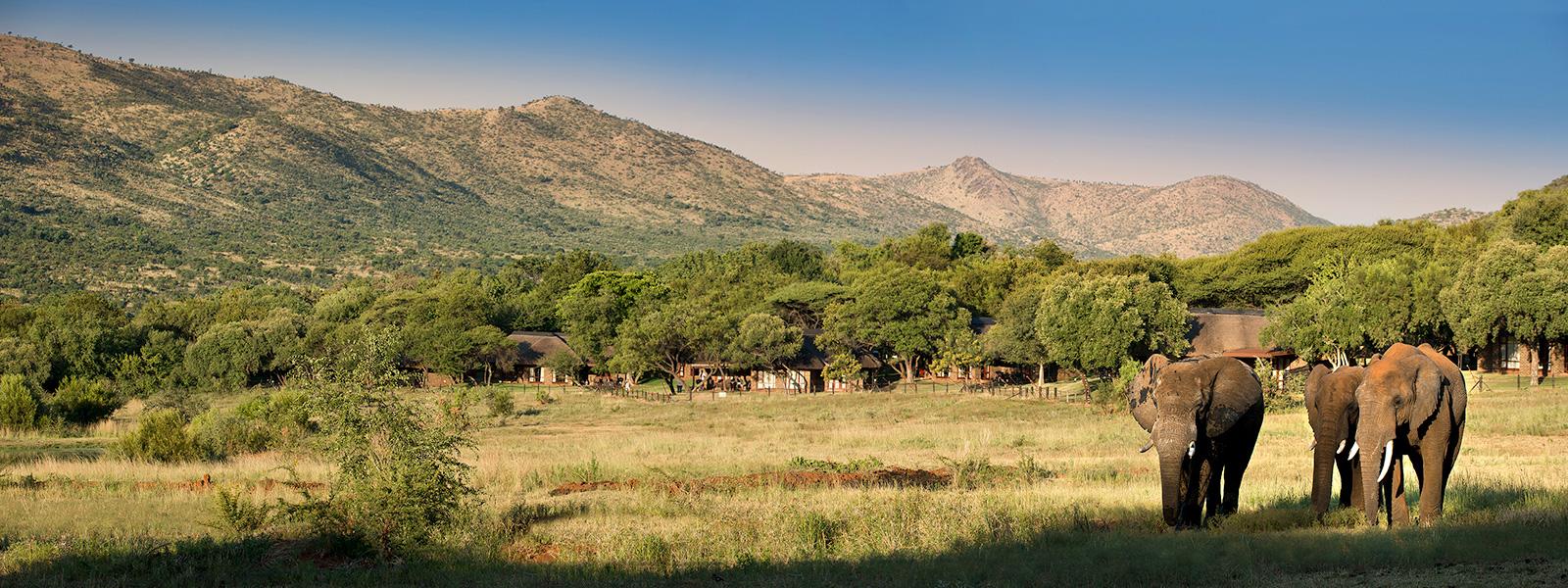 bakubung bush lodge